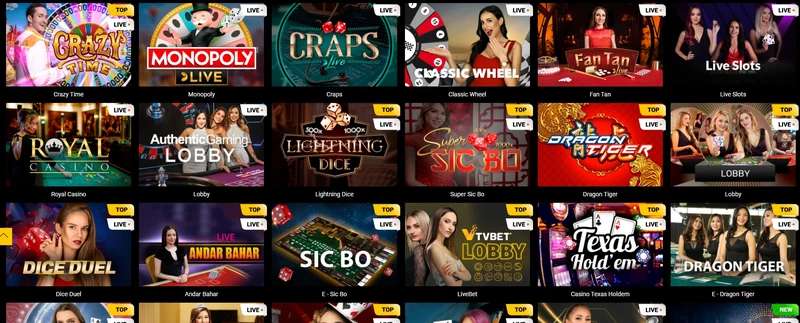 Hry so živým predajcom v Spinamba Casino